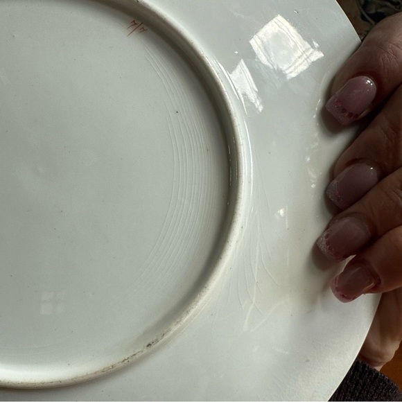 Vintage hand painted decorative plate unsigned Dresden? German ? Gold Rim - Picture 10 of 10